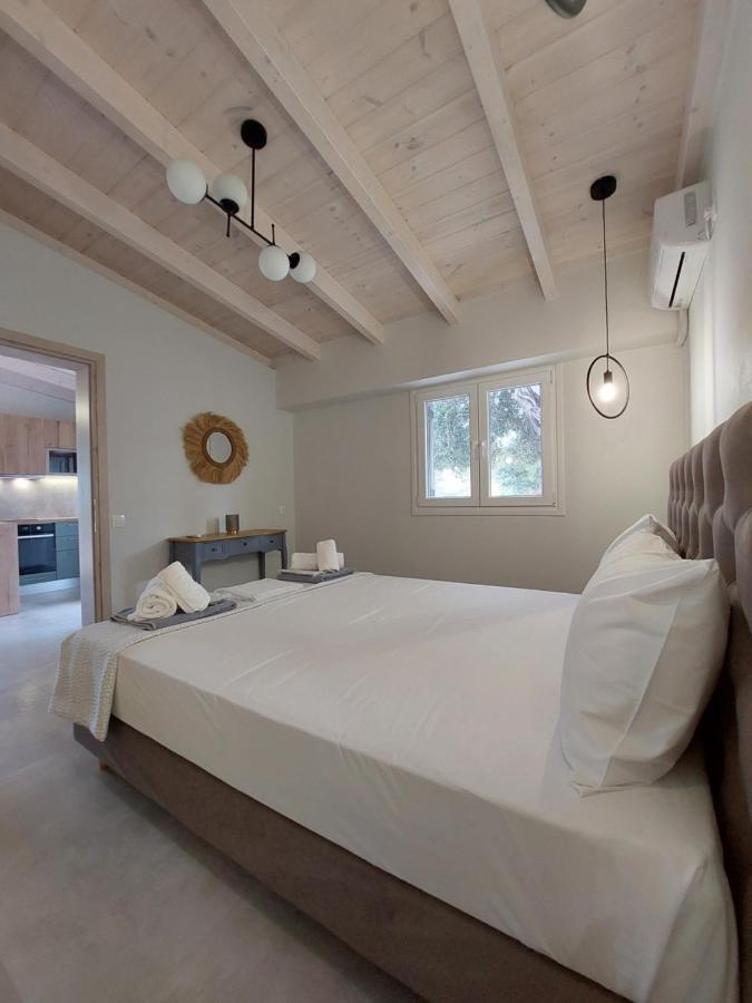Electra Villa & Pool Studios Гайос Екстериор снимка